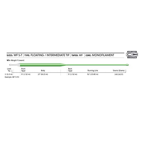 Cortland Precision 5’ Ghost Tip Fly Line - size: WF5FI