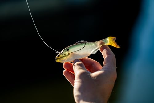 6th Sense - Panorama Sampler Pack - Multi-Size Soft Swimbait Bundle for Bass, Crappie, and Multi-Species Fishing