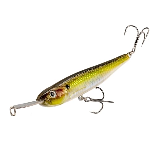 Strike King Evader 80 Fishing Lure, Swimming Topwater Bait, 7/16-Ounce - color: Ghost Herring