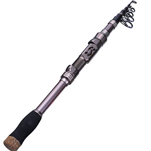 Sougayilang Telescopic Fishing Rod - 24 Ton Carbon Fiber,CNC Machined Reel Seat, Comfortable EVA Handle, Travel Fishing Rod for Bass Trout Fishing - color: SILVER, size: 6.9 ft