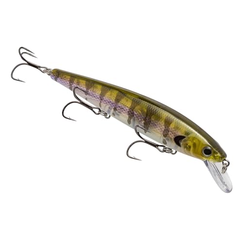 Strike King KVD Elite 300 Jerkbait Hard Bait Fishing Lure, Dives 4-7 Feet, Weight Transfer System - color: Phantom Bluegill, size: Hook Size 4