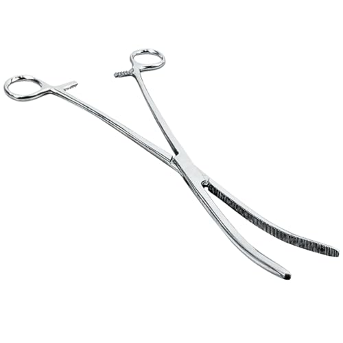 ADROIT 10" Curved Tip Extra Long Hemostat Forceps | Stainless Steel Design | Long with Small Teeth On Jaws | Locking Mechanism Built in | Great for Sewing, Fishing, Jewelry Making - size: 10", style: Curved