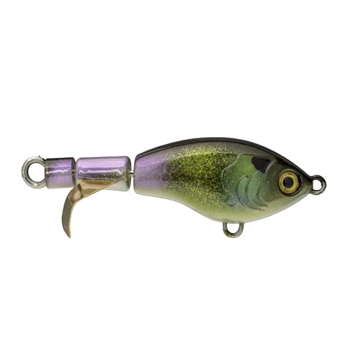 Strike King Bitsy Chickin Fishing Lure, Topwater Plopper, 2 1/2-Inches, 1/4-Ounce - color: The Real Gill