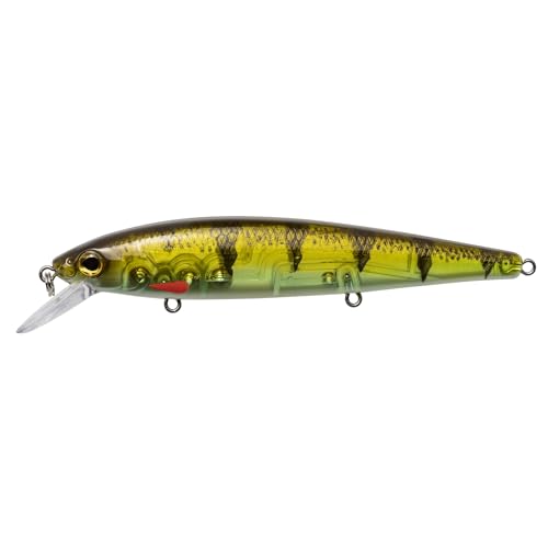 Strike King KVD Elite 300 Jerkbait Hard Bait Fishing Lure, Dives 4-7 Feet, Weight Transfer System - color: Pro Phantom Perch, size: Hook Size 4