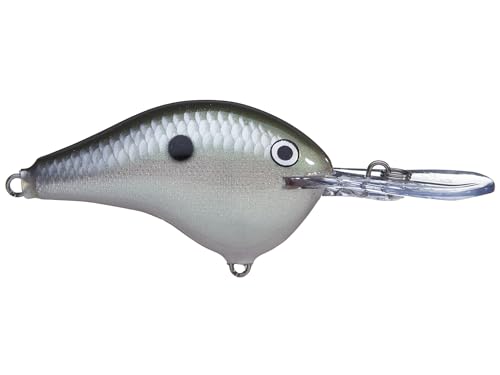 Rapala Rapala Dives to Shad - color: Green Gizzard Shad, size: Body Length: 2-1/4"