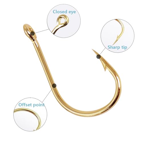 Dyxssm Small Fishing Hooks for Freshwater, 1000pcs 600pcs 400pcs Trout Fish Hook Set, 10 Sizes #2-#20 - color: Gold, style: 400pcs (#2-#20)