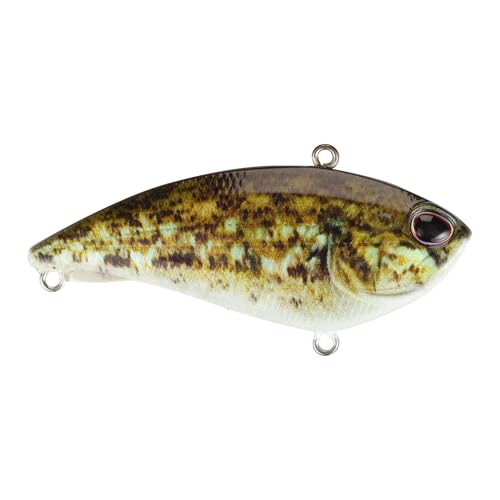Berkley Jack - color: HD Goby, size: 2 3/4in - 3/4 oz