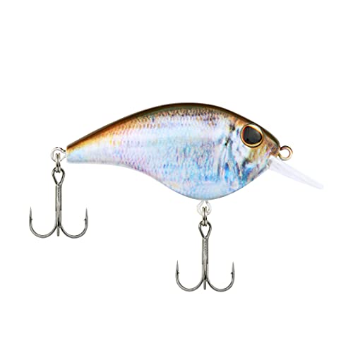 Berkley Frittside Fishing Hard Bait - color: HD Blueback Herring, size: 2in - 1/4 oz