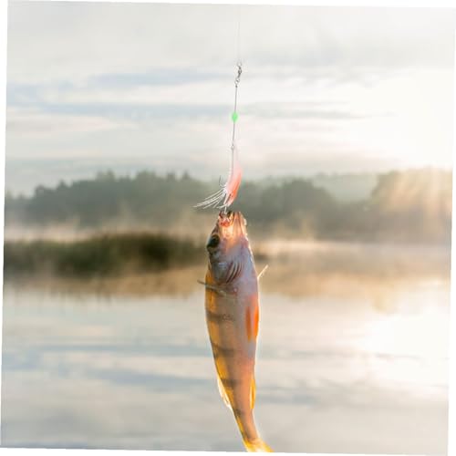 5pcs Bionic Artificial Shrimp Fishing Lures with Hooks Soft Simulation Glow-in-the-Dark Bait Set for Freshwater and Saltwater Fishing Random Color
