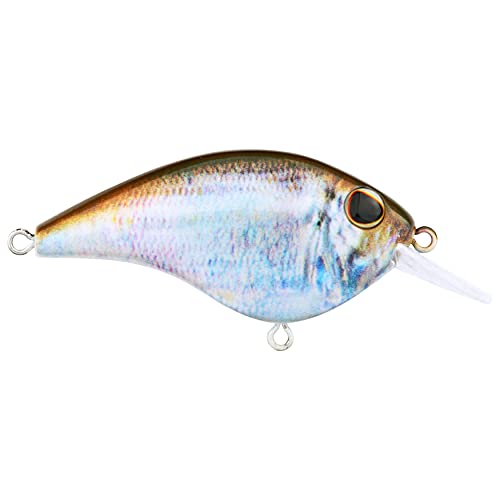 Berkley Frittside Fishing Hard Bait - color: HD Blueback Herring, size: 2in - 1/4 oz