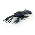 Savage Gear 4D Craw Fishing Soft Bait - color: Black/Blue, size: 4"