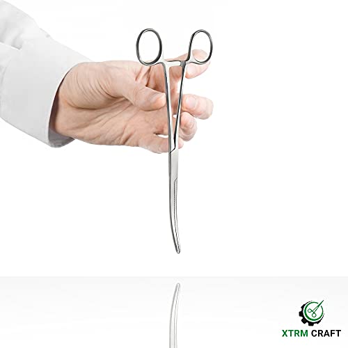 Precision Kelly Hemostat Forceps Locking Tweezers Clamp, Silver, Straight and Curved Stainless Steel (Curved, 10") - size: 10", style: Curved