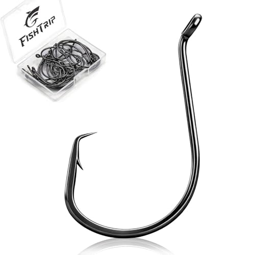 FishTrip Octopus Circle Hooks Saltwater - 50/100pcs Fishing Catfish Hook,Offset Fish Hooks for Rigs Size 6 4 2 1 1/0 2/0 3/0 4/0 5/0 6/0 7/0 8/0 9/0 10/0 - size: 2/0_100pcs