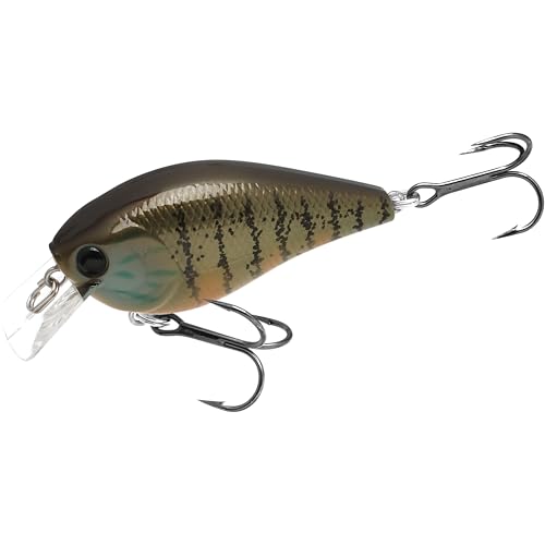 LUCKY CRAFT LC 1.5 Silent Squarebill Crankbait Fishing Lure, 2-3/8", Bass Fishing Lures for Freshwater, Hard Crankbait with Treble Fishing Hooks, Fishing Accessories - color: 427 Gold Pumpkin Seed