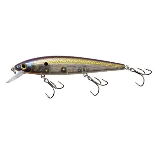 Strike King KVD Elite 300 Jerkbait Hard Bait Fishing Lure, Dives 4-7 Feet, Weight Transfer System - color: Pro TN Shad 2.0, size: Hook Size 4