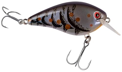 Strike King KVD 1.5 Hard Knock Fishing Lure, 3/8 oz, 3D Lifelike Eyes - color: Blue Craw, size: 3/8oz