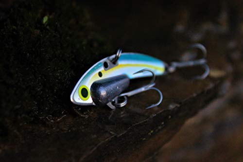 SteelShad - Mini Series (1/4 oz) - 2 Pack - Lipless Crankbait for Freshwater Fishing - Perfect for Ice Fishing, Pan Fishing, Crappie, Walleye and Bass - color: Sexy Shad