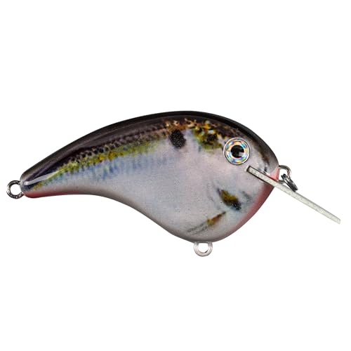 Strike King Chick Magnet Flatside Shallow Diver Fishing Lure, 7/16 oz, Dives 4-6' - color: Natural Shad