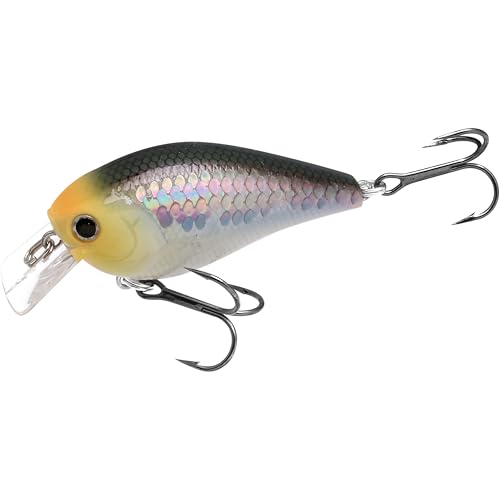 LUCKY CRAFT LC 1.5 Silent Squarebill Crankbait Fishing Lure, 2-3/8", Bass Fishing Lures for Freshwater, Hard Crankbait with Treble Fishing Hooks, Fishing Accessories - color: 424 MS Impulse Shad