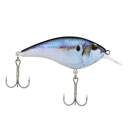 Berkley Frittside Fishing Hard Bait - color: Shad Assorted 3 Pack, size: 2 1/4in - 1/3 oz