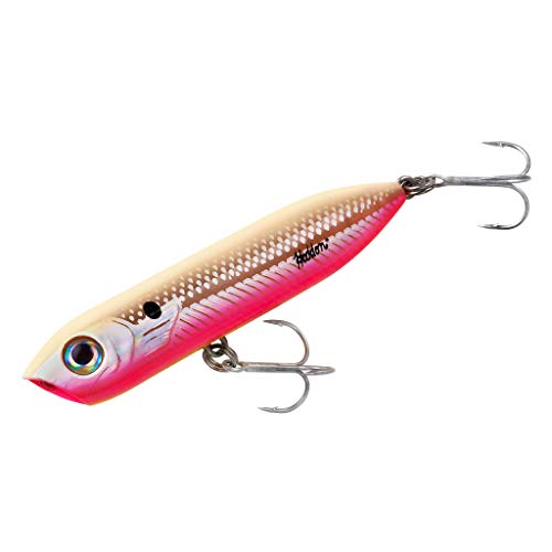 Heddon Chug'N Spook Popper Topwater Fishing Lure for Saltwater and Freshwater - color: Ham Bone Flash, size: Chug'N Spook Jr (1/2 oz)