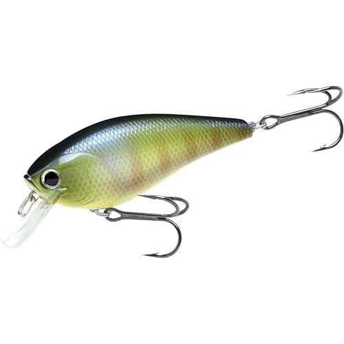 LUCKY CRAFT Fat CB BDS 3, Freshwater Bass Fishing Lure, Crank Bait, Smallmouth, Walleye, Floating, Fishing Gear, Fishing Accessories, Fishing Tackle - color: 269 BE Gill