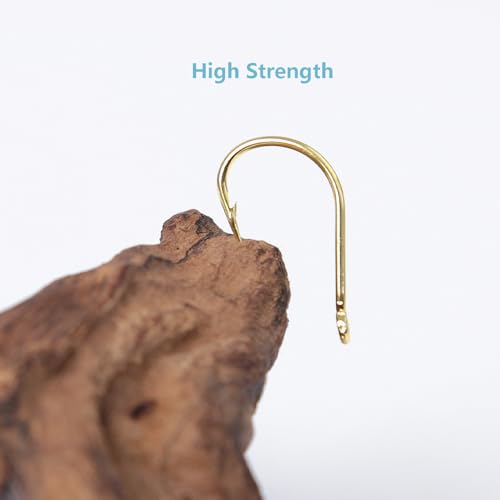 Dyxssm Small Fishing Hooks for Freshwater, 1000pcs 600pcs 400pcs Trout Fish Hook Set, 10 Sizes #2-#20 - color: Gold, style: 600pcs (#2-#20)