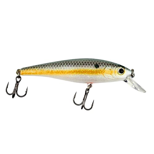 Trout Magnet Trout Crank Top Water Fishing Bait, Runs 2-4 Feet Depth with Small Rattles for High Effectiveness, Great Fishing Lure for Freshwater - color: Southern Belle, size: 3.5"