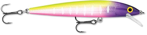 Rapala Husky Jerk Jerkbait – Suspending Hard Bait | Bass Walleye and Pike Fishing Lure, Twitch and Pause Action - color: Moldy Fruit, size: Body Length: 3-1/8"