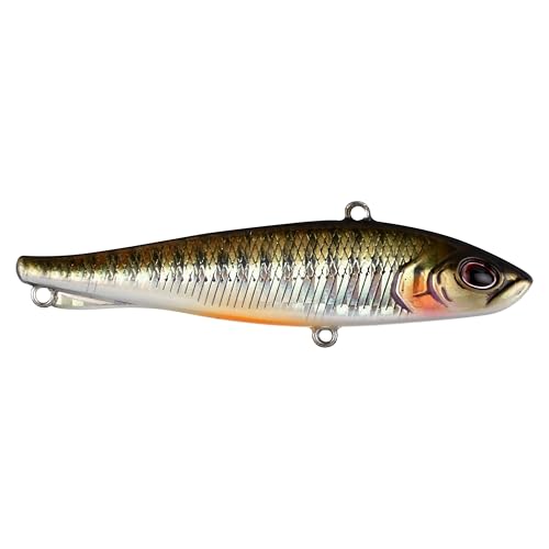 Berkley Ripfish - color: Dark Shiner, size: 2 3/4 in - 3/8 oz