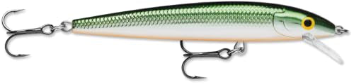 Rapala Husky Jerk 10 Fishing Lures - color: Tennessee Shad