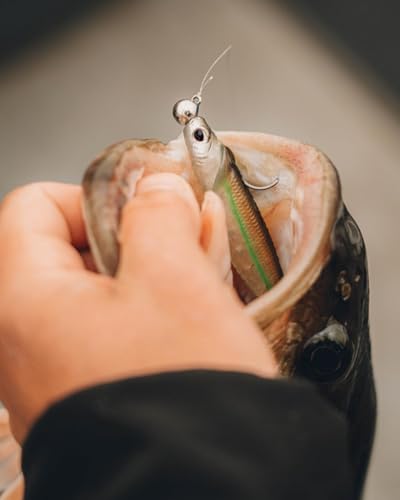 Nomad Design Cobra Shad Soft Plastic Minnow 4 Pack, with Adjusta-Ball Tungsten Weights, Fishing Lure - color: Silver Shad