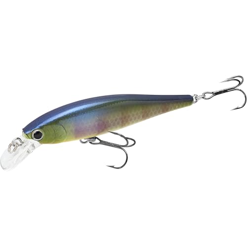 LUCKY CRAFT Pointer 78SP Fishing Lures, 3” Jerkbait Freshwater Bass & Trout Lures, Suspending 4ft–5ft Depth, Jerkbait with Walk-the-Dog Action, Precision Bass Fishing Gear and Accessories - color: 269 BE Gill, size: PT65