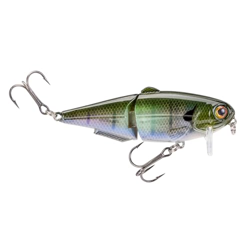 Strike King (HCWS2-822) Wake Shad Fishing Lure, Single Jointed Swimming Topwater Wakebait, 1-Ounce, Size 2 Treble Hooks, The Real Gill