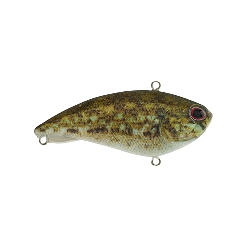 Berkley Jack - color: HD Goby, size: 2 1/2in - 1/2 oz