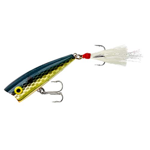 Rebel Lures Pop-R Topwater Popper Fishing Lure - color: Foxy Momma, style: Teeny Pop-r (1/8 Oz)