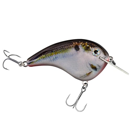 Strike King Chick Magnet Flatside Shallow Diver Fishing Lure, 7/16 oz, Dives 4-6' - color: Natural Shad