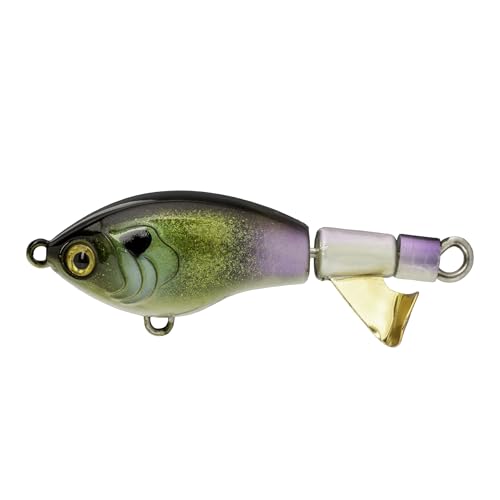 Strike King Bitsy Chickin Fishing Lure, Topwater Plopper, 2 1/2-Inches, 1/4-Ounce - color: The Real Gill