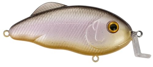 Strike King Hybrid Hunter Jr Crankbait Fishing Lure, 1/2 oz, Reflective 3D Eyes - color: Sweet Shad, size: 1 oz (Pack of 1)