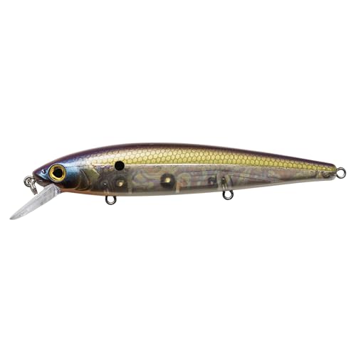 Strike King KVD Elite 300 Jerkbait Hard Bait Fishing Lure, Dives 4-7 Feet, Weight Transfer System - color: Pro TN Shad 2.0, size: Hook Size 4