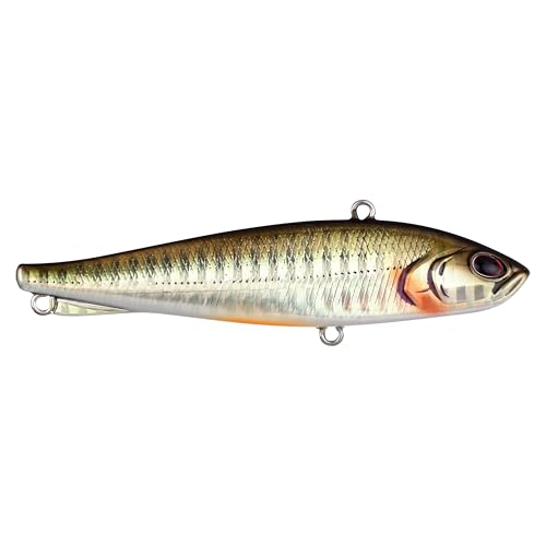Berkley Ripfish - color: Dark Shiner, size: 3 1/2 in - 3/4 oz
