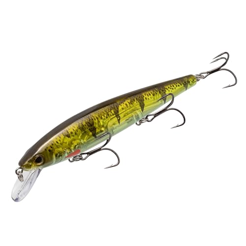 Strike King KVD Elite 300 Jerkbait Hard Bait Fishing Lure, Dives 4-7 Feet, Weight Transfer System - color: Pro Phantom Perch, size: Hook Size 4