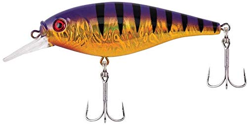 Berkley Flicker Shad Shallow - color: Slick Purple Bengal, size: 1/6 oz, 2"