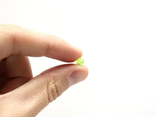 Harmony Fishing - Holographic Beads for Fishing Rigs, Baits & Lures (50 Pack) - style: Chartreuse, 6mm (50 Pack)