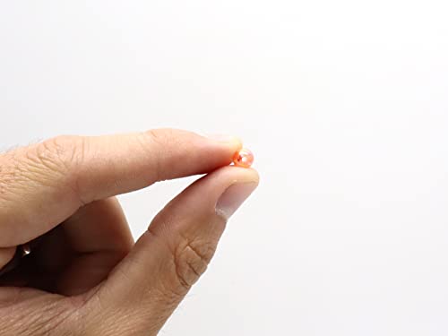 Harmony Fishing - Holographic Beads for Fishing Rigs, Baits & Lures (50 Pack) - style: Orange, 6mm (50 Pack)