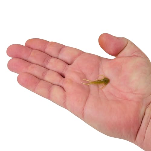 Berkley PowerBait Trilobite Fishing Soft Bait - color: Blown Motor