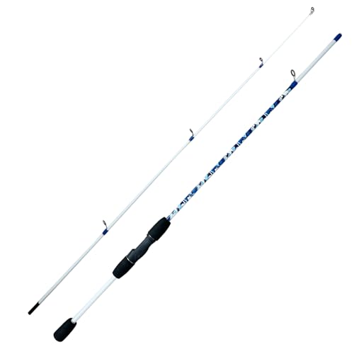 6'6" Fiberglass Casting Rod, 2-Piece Skull Design, Durable & Sensitive with Split-Grip Handle, Perfect for Bass, Pike, Catfish Fishing in Freshwater & Saltwater - color: HLZB-6'0", size: 6'0"