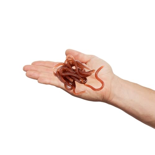 Joyzan Fishing Bait,Soft Lure Trout Fake Earthworm Bass Artificial Worm Kit | Faux Lures Trick Toy Drop Shot Bloodworm Grub Stickbaits Realistic Tackle Lifelike Shaped Stretchy Fresh Water PVC 18PCS