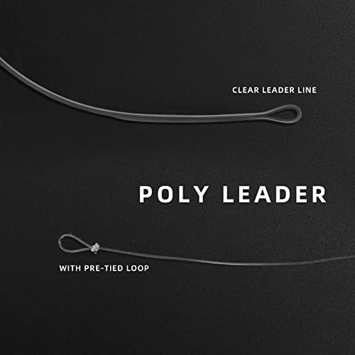 SF Fly Fishing Polyleader Monofilament Core Leader Line Fly Line for 7' Trout and 10' Salmon Poly Leader 7FT/10FT Float Hover Intermediate 3/5/7IPS - color: Clear, size: Salmon 10FT-Intermediate
