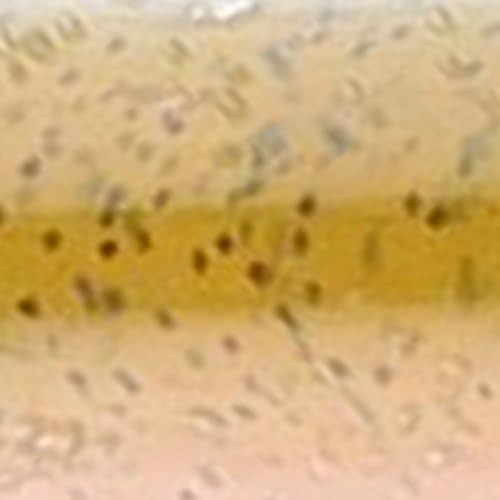 Strike King KVD Filler Worm Soft Bait Fishing Lure - color: Dirt